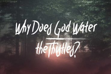 Why Does God Water the Thistles?