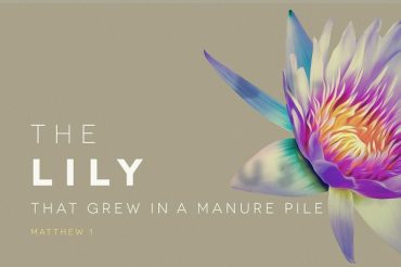 The Lily That Grew in a Manure Pile