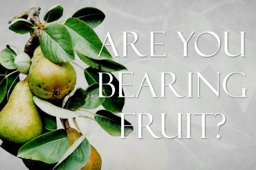 Are You Bearing Fruit?