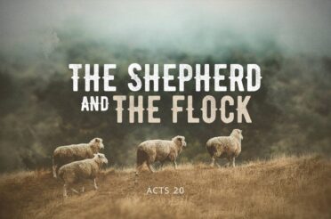 The Shepherd and the Flock