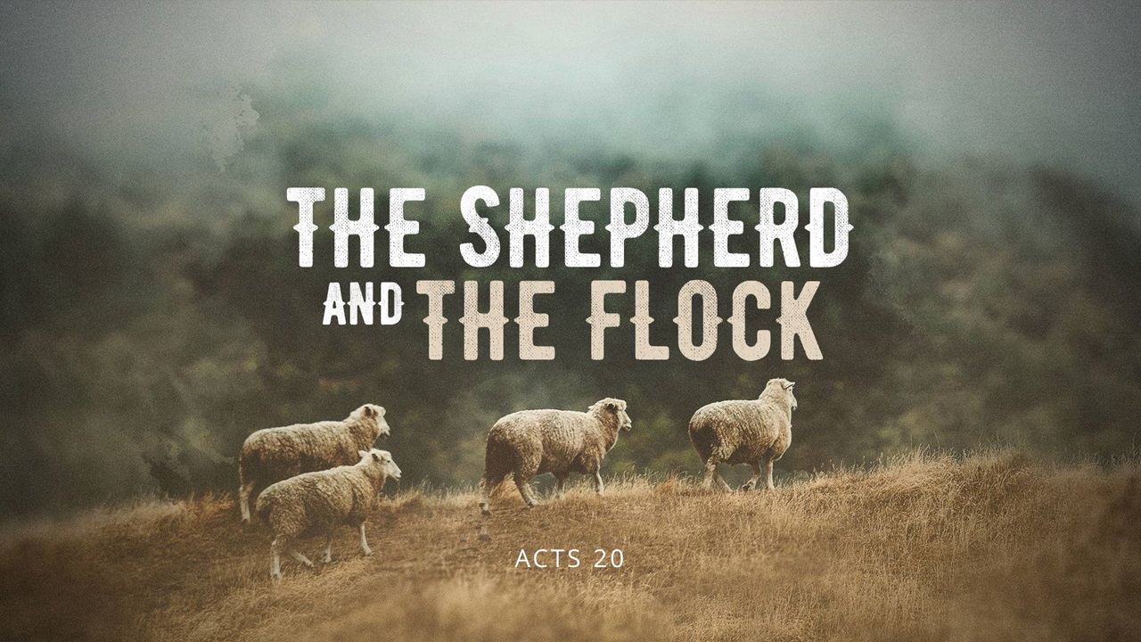 The Shepherd And The Flock Bible Baptist Church