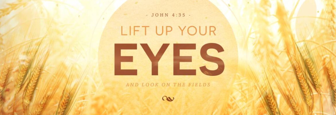 Lift Up Your Eyes