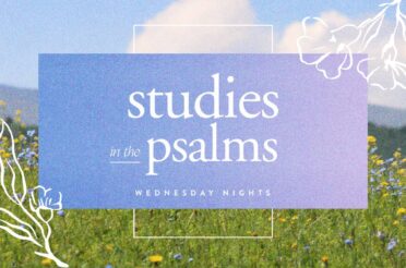 Studies in the Psalms