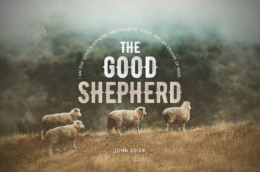 The Good Shepherd (Sermon Series)